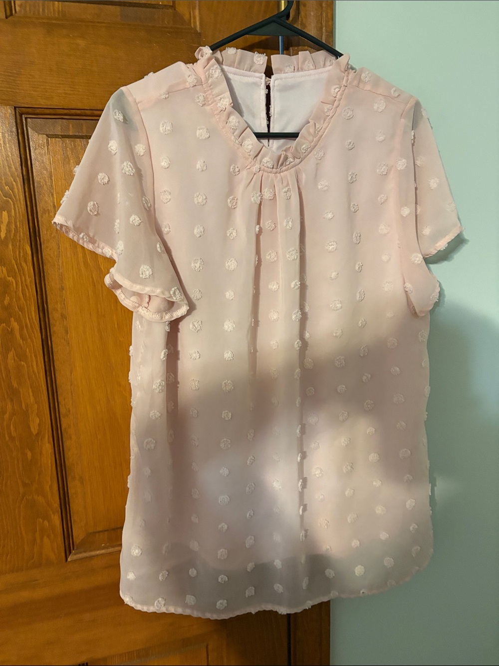 Women's Light Pink Ruffle Swiss Dot Blouse XL SHEIN good condition. Lined.